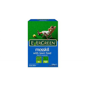 Evergreen Mosskill 80m